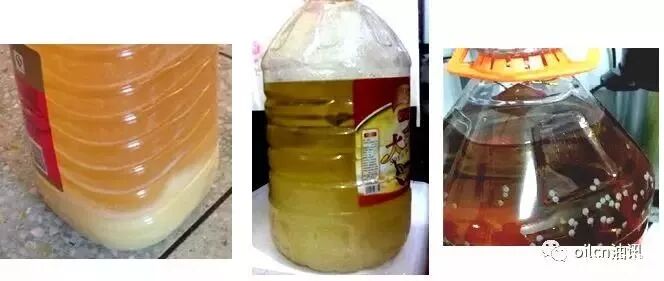 食用油的冷知识：植物油发朦“冻”态为何有不同，都能放心吃吗？