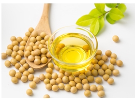 4月10日山东同元福油厂食用油价格最新报价